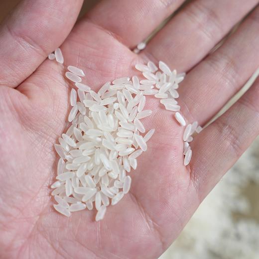 2025年新米 品质敢打擂台 价格几乎腰斩 稻花香2号 越嚼越香 商品图4
