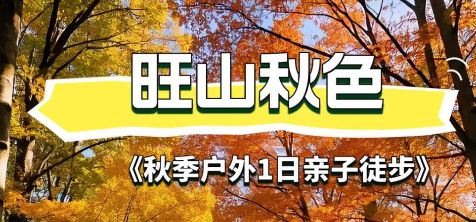 春季苏州旺山亲子1日亲子徒步，一日双景！北联村千亩金色花海 × 旺山翠野轻徒步