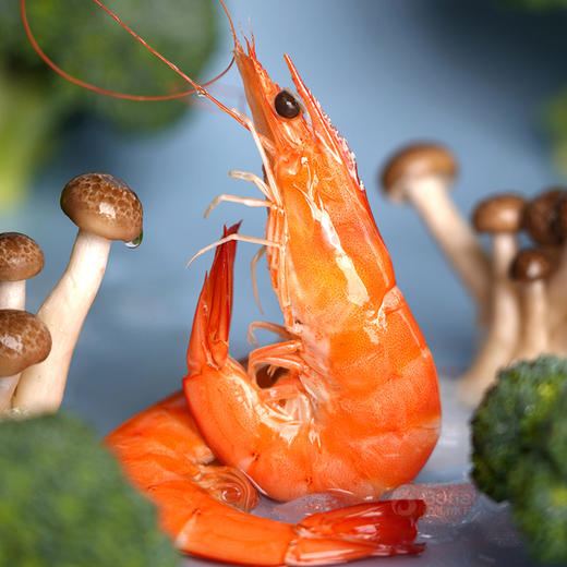 俏虾客有机熟虾 500g(净重) /盒*3 商品图4