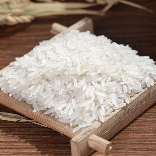 靓虾软米5KG 商品图5