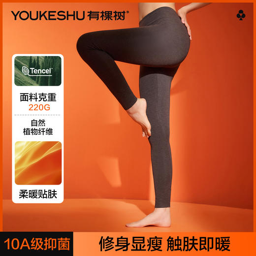 【50S发热丝】【10A抑菌】【M-2XL】【有棵树】女士莫代尔秋裤保暖裤 商品图5