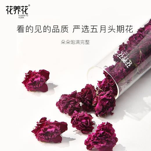 烘干玫瑰花冠茶 整朵重瓣红玫瑰 商品图4