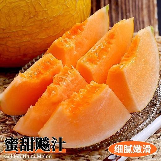 海南黄金蜜瓜 香甜多汁 比西州蜜更脆甜 商品图5