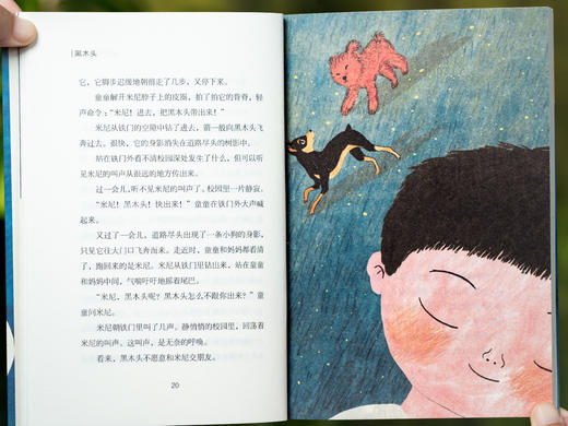 中国原创儿童文学获奖精选（全12册）本土文学大师荟萃，大奖云集的经典小说，涵盖8~16岁孩子成长主题，给孩子纯正的中国故事 商品图12