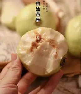 猫太极力推荐——这是偷走我心的芭乐！是我不远千里，爬山涉水寻来的芭乐。