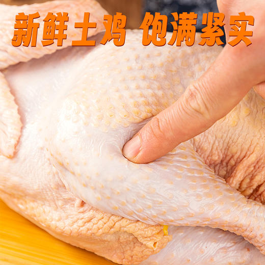 云南高山散养土鸡顺丰包邮新鲜现杀高山散养自由奔跑肉质紧实炖汤炖菌菇营养美味顺丰包邮 商品图1