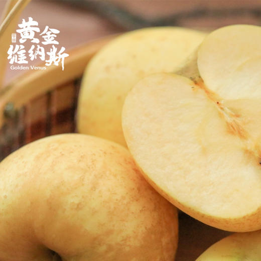 黄金维纳斯苹果 商品图0
