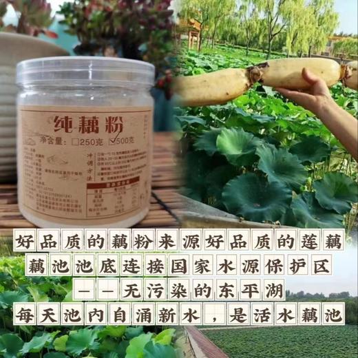 无添加纯藕粉(原味) 商品图3