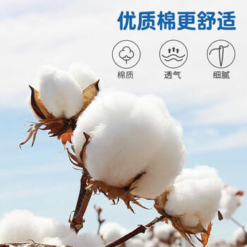 浪莎（LangSha）儿童内裤男童平角AAA级抑菌大童内裤棉质3条青少年内裤 160 商品图2