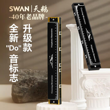 天鹅（SWAN）24孔复音口琴初学者入门学生专业演奏教学推荐口琴C调银色 商品图2