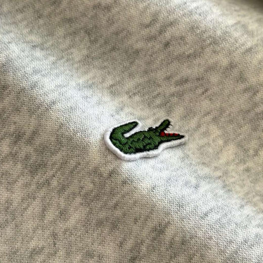 原单法鳄加绒连帽卫衣102106 商品图5