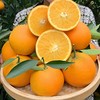 赣南脐橙清甜多汁 皮薄肉嫩 商品缩略图0