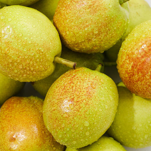 新疆库尔勒香梨  新鲜梨子 皮薄核小 肉质细腻 商品图3