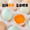 云南高原土鸡蛋 顺丰包邮 高山自由觅食放养看得见的新鲜绿壳粉壳混装30枚 商品缩略图1