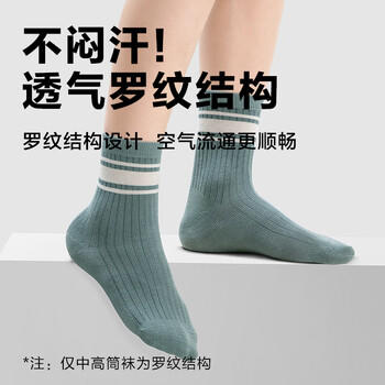 京东京造儿童袜子春夏薄款网眼男童短筒棉袜5-9岁开学中大童18-20CM 商品图3