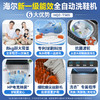 海尔（Haier）洗衣洗鞋机全自动洗脱一体机家用大容量刷鞋机懒人神器一级能效洗袜子地垫 一投即洗免拆鞋带 8kg大容量丨16分钟速洗丨可洗2-6双 T565 商品缩略图1