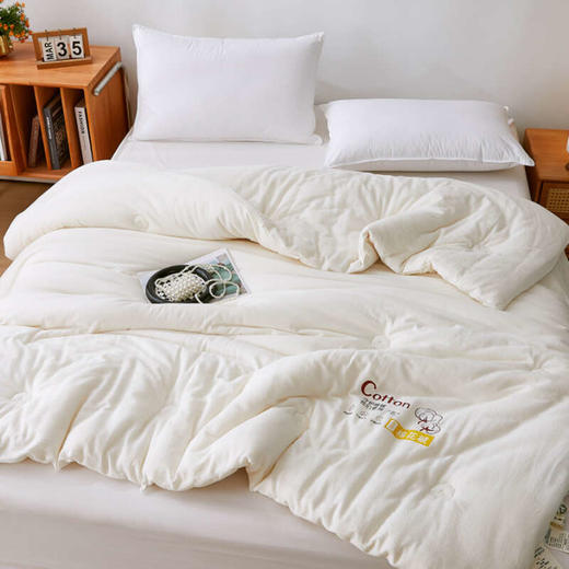 【全国包邮】新疆长绒棉被（2-4kg，1.5×2米/2米×2.3米） 商品图2