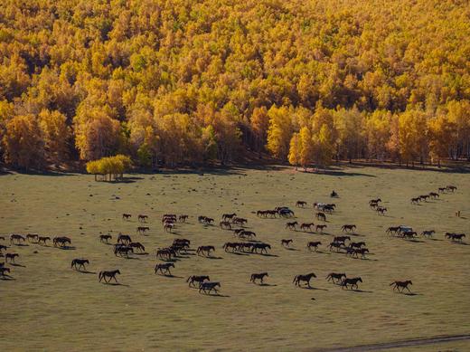 内蒙金秋 | 走进森林与草原深处的金色童话之旅 7天6晚 商品图6