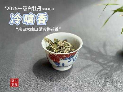 【拍3送1】1个月热销600罐的2025白牡丹《冷噙香》来了，依旧是冷香幽然、冷汤香滑！ 商品图3