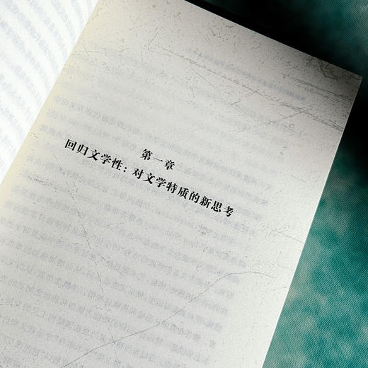 美的回归——后理论时代中西文论中的文学与审美 商品图3