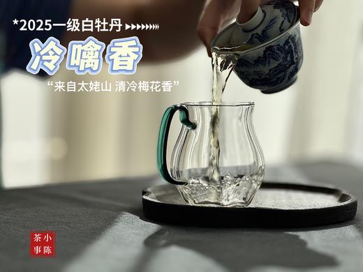 【拍3送1】1个月热销600罐的2025白牡丹《冷噙香》来了，依旧是冷香幽然、冷汤香滑！ 商品图6