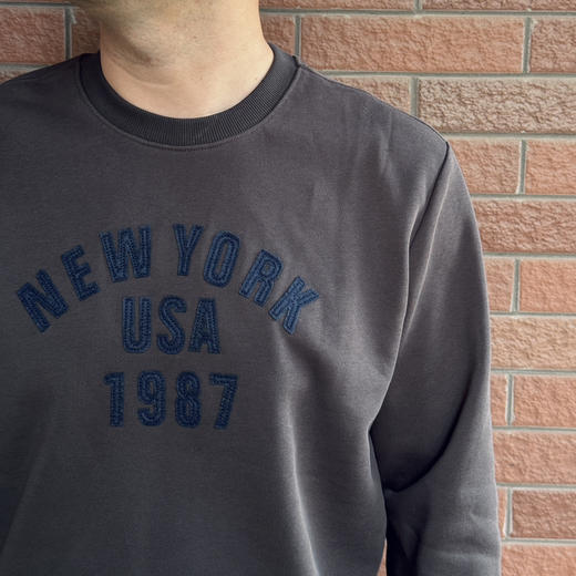 25秋冬-男士圆领毛圈单层卫衣【包邮+三天无理由退换】 商品图8