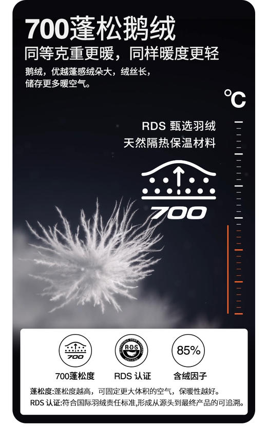 北面   25年秋冬  羽绒服  82TS 商品图2