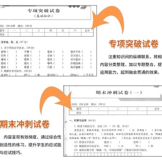 聚能闯关100分期末复习冲刺卷初中九年级语文数学英语政治历史地理 商品图3