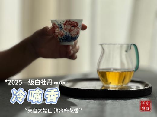 【拍3送1】1个月热销600罐的2025白牡丹《冷噙香》来了，依旧是冷香幽然、冷汤香滑！ 商品图10
