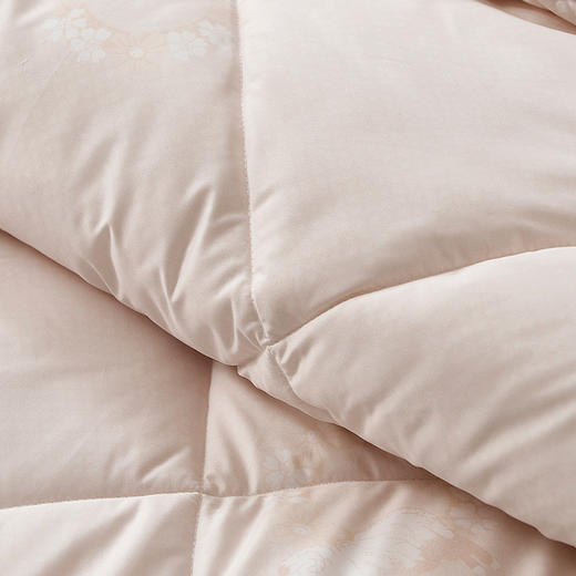 【6楼】富安娜冬栗新西兰羊毛冬厚被，牌牌价2180，新春活动价499元 商品图7