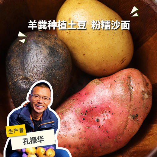 生态土豆（申通快递）| 合作生产 *Ecological potato | Partner Production 商品图0