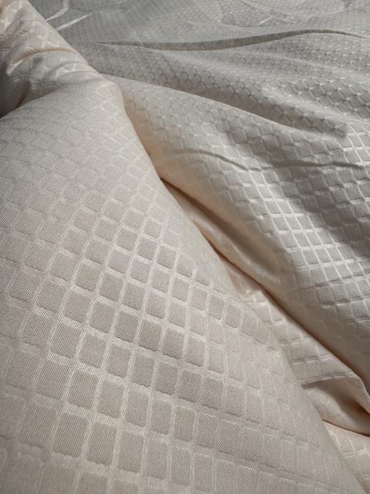 ☀️【CHARLES MILLEN 查尔斯 米伦A类亲肤吸湿保暖被】✨进口英威达防螨纤维填充，😎亲肤柔软舒适，亲测太好睡！ 英国王室御用品牌❗高岛屋、☺️伦敦哈罗德百货双专柜在售 商品图3