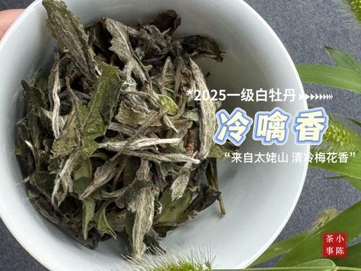 【拍3送1】1个月热销600罐的2025白牡丹《冷噙香》来了，依旧是冷香幽然、冷汤香滑！ 商品图4