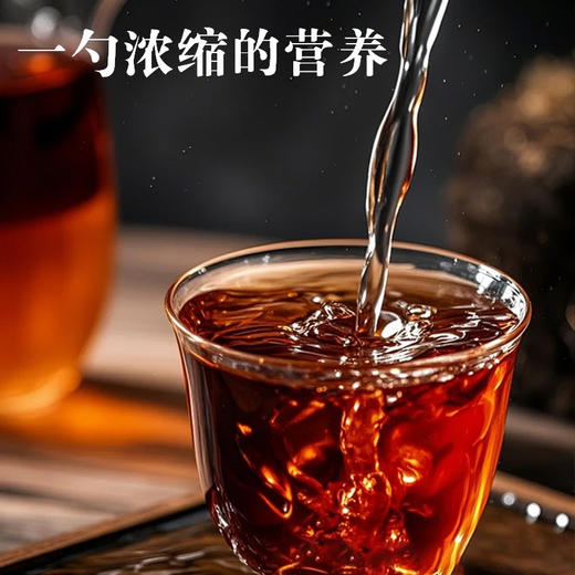 硕果田间苹果黄芪膏100g 商品图2