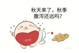 秋季腹泻及其相关产品