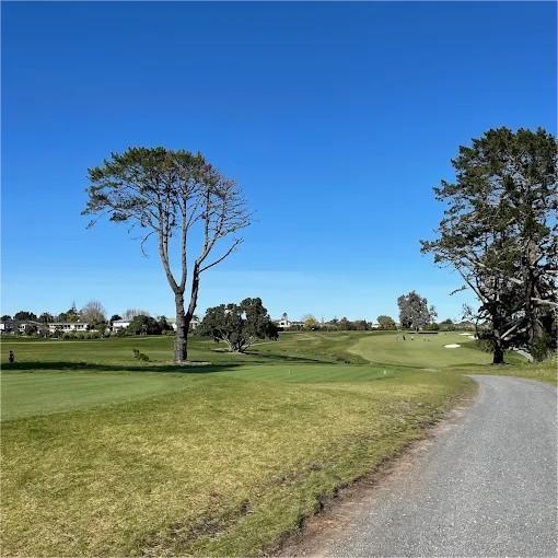 皇家奥克兰格兰奇高尔夫俱乐部 Royal Auckland and Grange Golf Club | 奥克兰高尔夫球场 | 新西兰高尔夫球场俱乐部  | 北岛 商品图6