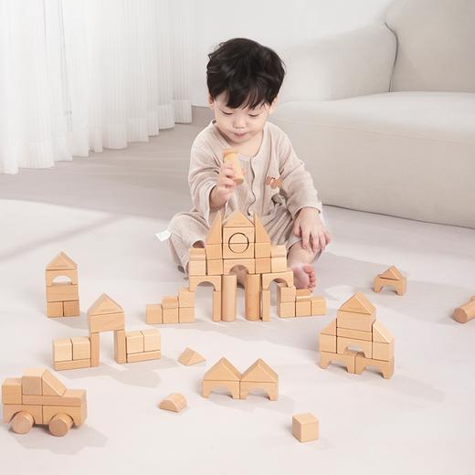 纳维亚森之谜积木 商品图0