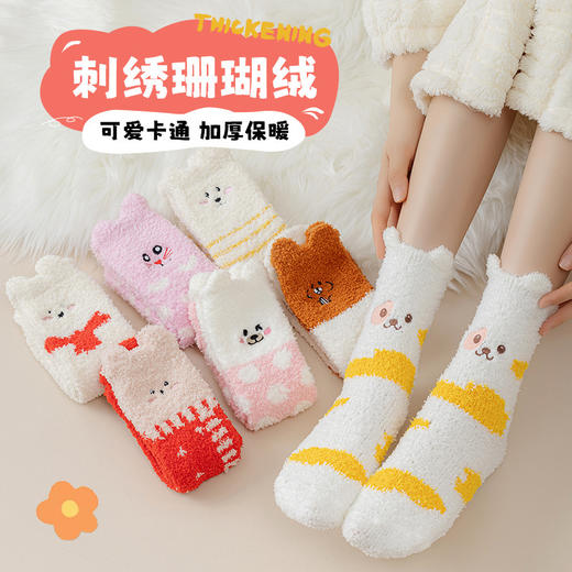 【YW】无忧购19元2双，29元5双可爱小猫小狗地板袜立体袜刺绣珊瑚绒袜子（现货发) 商品图3