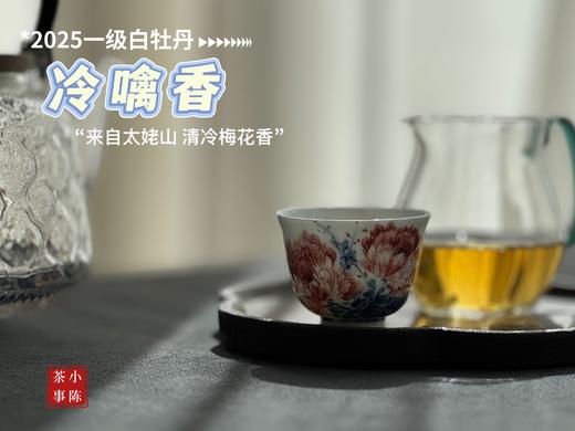【拍3送1】1个月热销600罐的2025白牡丹《冷噙香》来了，依旧是冷香幽然、冷汤香滑！ 商品图11