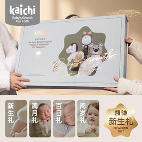 凯驰kaichi新生儿见面礼安抚礼盒高档套装玩具摇铃0-1满月新生礼物