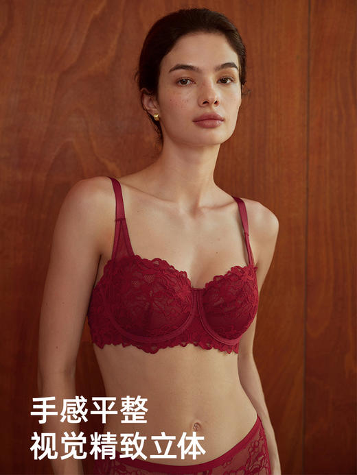 【The Rose】遐法式阳台杯内衣女性感微绒雪尼尔蕾丝大胸显小文胸 商品图4