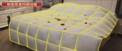 帕南笛高档鹅绒被 商品图3