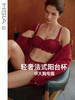 【The Rose】遐法式阳台杯内衣女性感微绒雪尼尔蕾丝大胸显小文胸 商品缩略图0