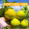 【云南哀牢山冰糖橙】新鲜冰糖橙 当季现摘青皮橙 酸甜爽口 清爽多汁 4种规格任选 商品缩略图1