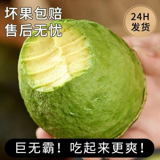 【云南孟连牛油果】顺丰到家 需催熟 颗颗精选 果肉饱满 清新果香 果肉细腻可口 4种规格任选 商品图5