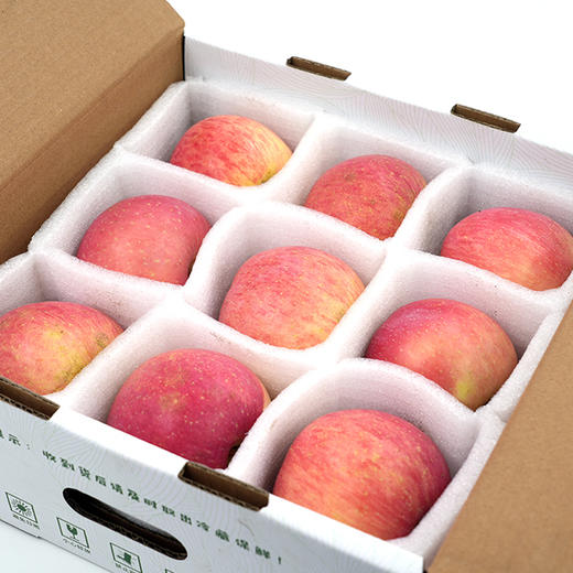 有机富士苹果 | 公平贸易 | 基地直发*Organic Fuji Apples 商品图7