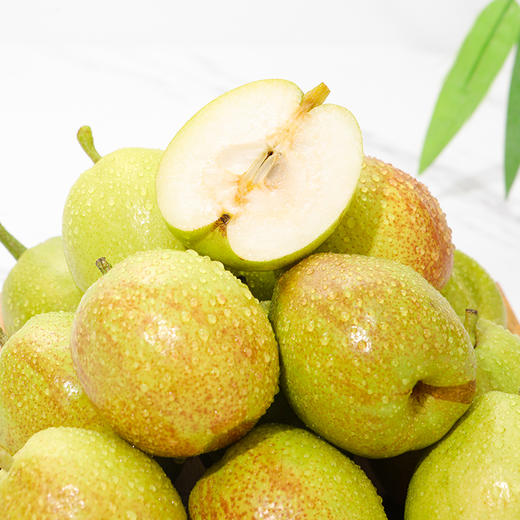 新疆库尔勒香梨  新鲜梨子 皮薄核小 肉质细腻 商品图4