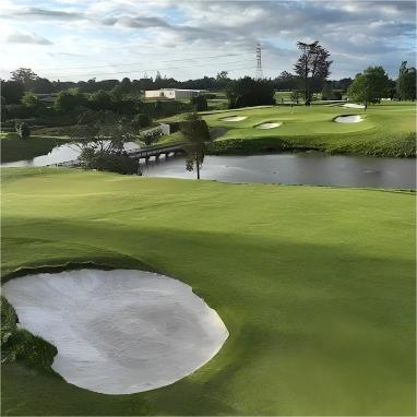 皇家奥克兰格兰奇高尔夫俱乐部 Royal Auckland and Grange Golf Club | 奥克兰高尔夫球场 | 新西兰高尔夫球场俱乐部  | 北岛 商品图4