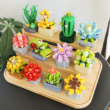 费米（Femibox）兼容乐高儿童拼装积木玩具花男女孩新年礼物生日多肉-肉锥S2281 商品图4