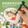 古欧儿童考古挖掘玩具恐龙蛋化石手工diy盲盒挖宝藏男孩女孩生日礼物 商品缩略图3